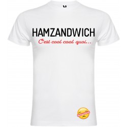 T-shirt pour homme en coton bio - Hamzandwich c'est cool cool quoi...